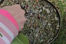 Саратовские школьники прошли 18 километров по лугам, оврагам и лесной чаще