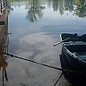 Саратовские ветеринары добирались до пастбищ на лодках