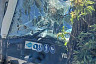 В Саратове автобус с пассажирами протаранил дерево